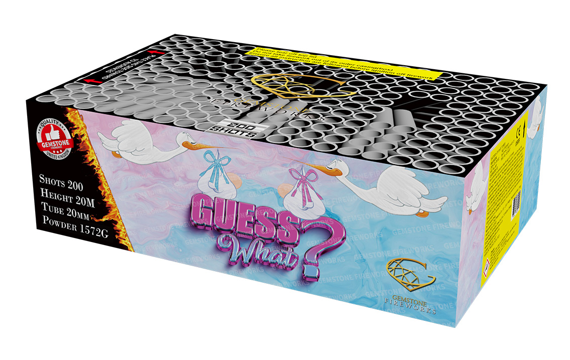 guess-what.jpg GUESS WHAT (Boy) - Image 1