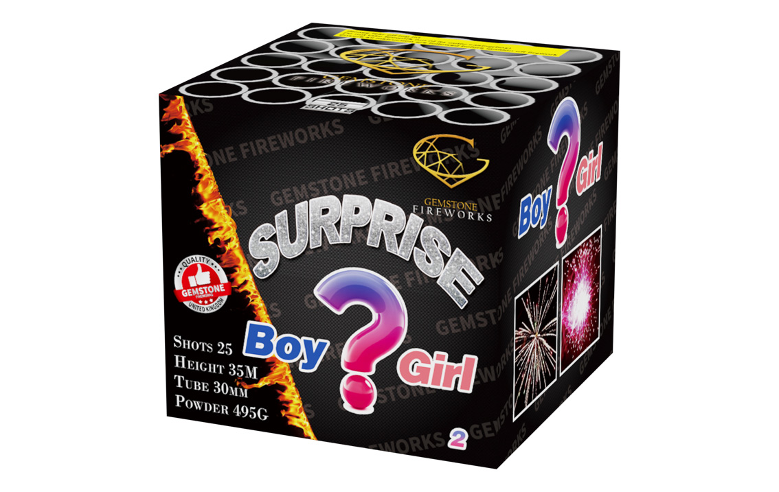 surprise-boy-or-girl.jpg Surprise Boy or Girl (Girl) - Image 1