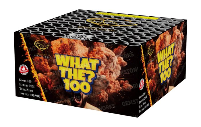 What The? 100 - Image 1