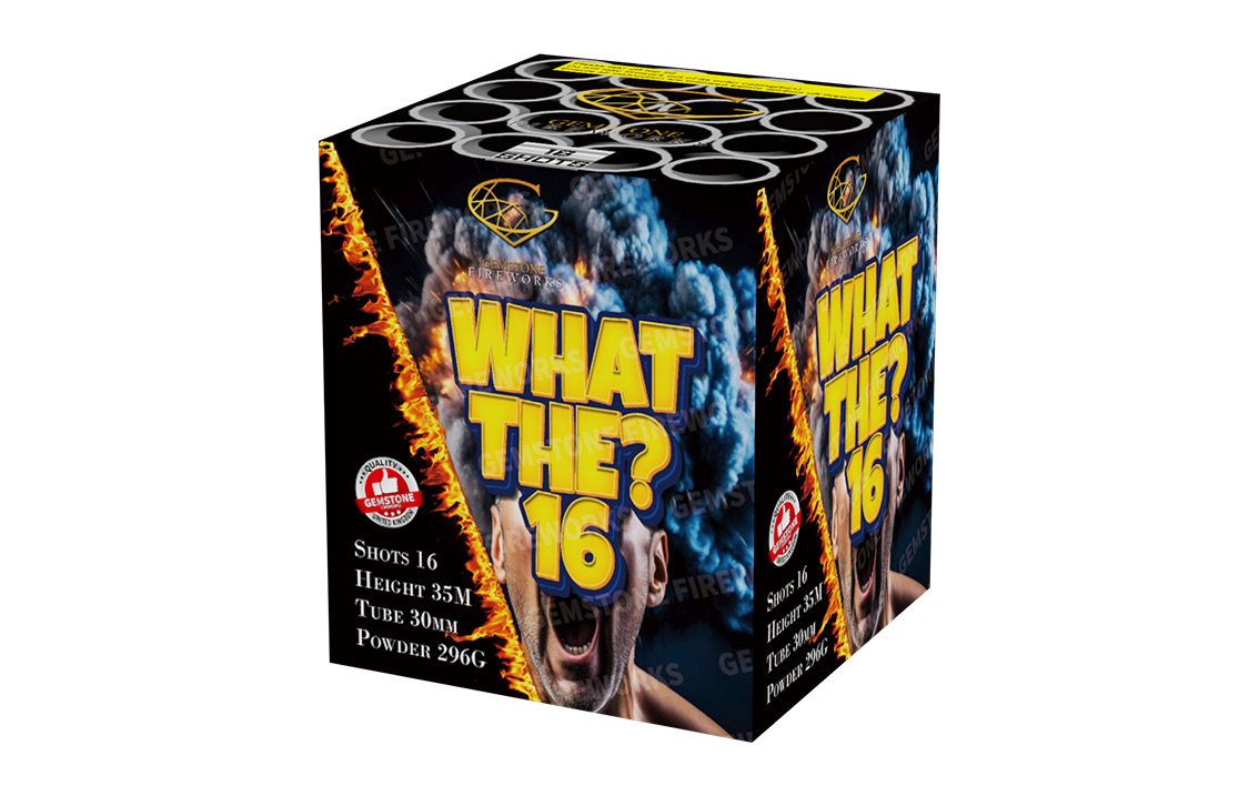 what-the-16.jpg What The? 16 - Image 1