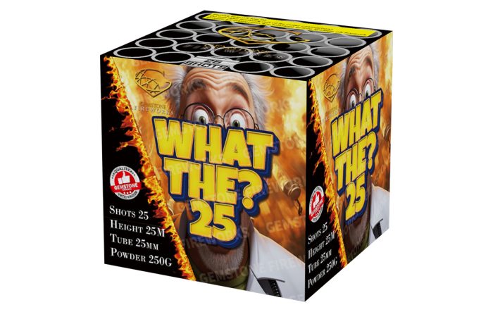 What The? 25 - Image 1