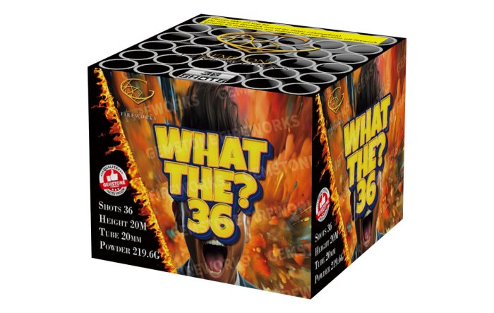 What The? 36 - Image 1